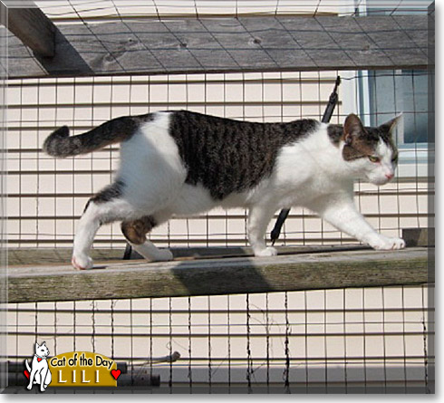 Name:  22b.jpg
Views: 511
Size:  79.5 KB