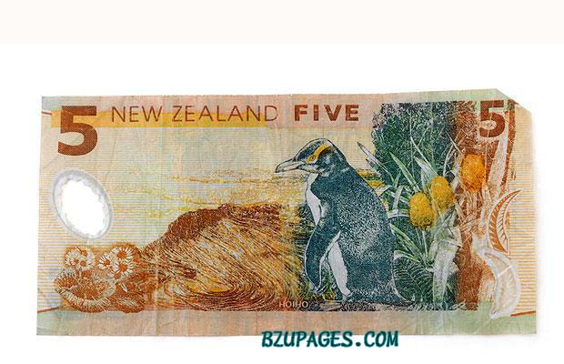 Name:  World's Some Beautiful Currencies (13) New Zeeland.jpg
Views: 533
Size:  66.2 KB