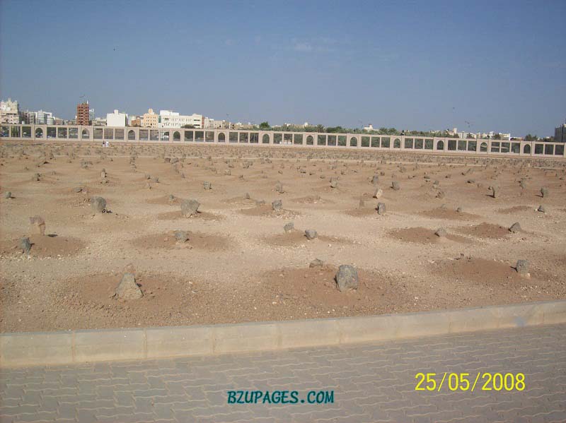 Name:  Jannatul_Baqui in 2008 (1).jpg
Views: 412
Size:  72.1 KB