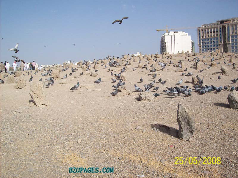 Name:  Jannatul_Baqui in 2008 (6).jpg
Views: 313
Size:  125.0 KB