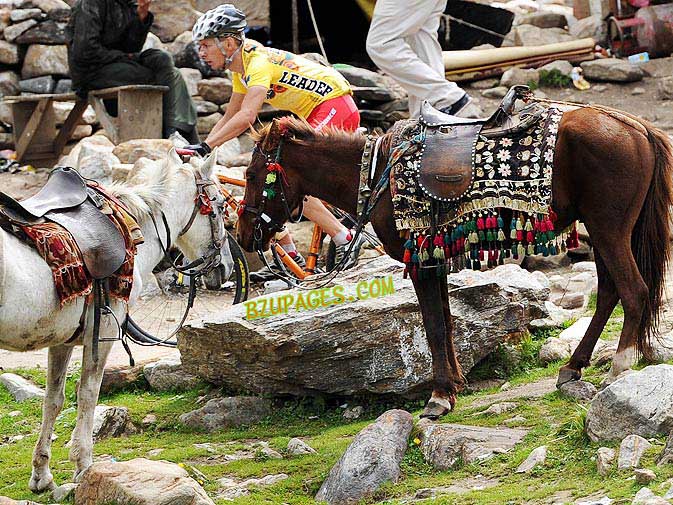 Name:  Slovakia's cyclist Martin Haringr (C) rides past horses during the second stage of the race..jpg
Views: 465
Size:  139.4 KB