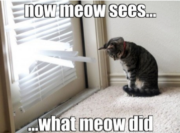 Name:  lol meow.png
Views: 936
Size:  160.5 KB