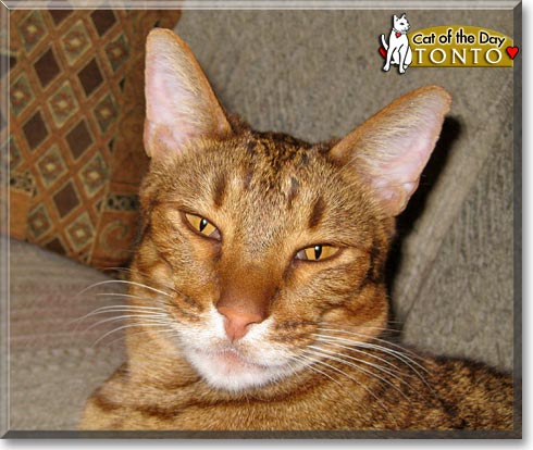 Name:  19.jpg
Views: 843
Size:  47.6 KB