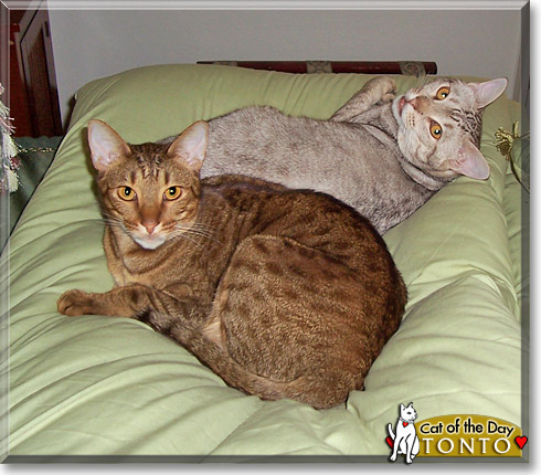 Name:  19b.jpg
Views: 824
Size:  74.8 KB