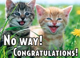 Name:  cat of the day.jpg
Views: 846
Size:  12.9 KB