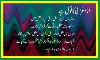 Name:  Insan main aqal aur khahish dono hoti hain.jpg
Views: 819
Size:  15.5 KB