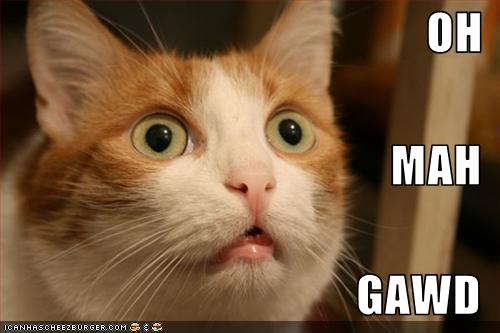 Name:  Cat says Oh my God.jpg
Views: 15904
Size:  23.9 KB