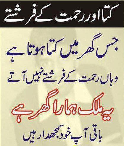 Name:  samajdar.jpg
Views: 804
Size:  42.9 KB