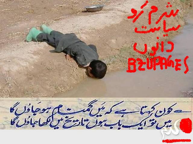 Name:  kon kheta hai k main gumnam hu jahn ga.jpg
Views: 1601
Size:  60.3 KB