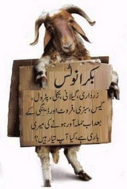 Name:  Bakra notice.jpg
Views: 1145
Size:  31.4 KB