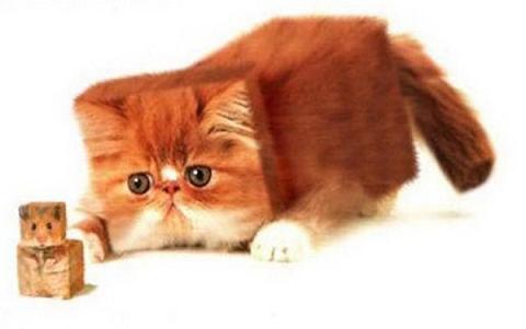 Name:  square-world003.jpg
Views: 3858
Size:  20.4 KB