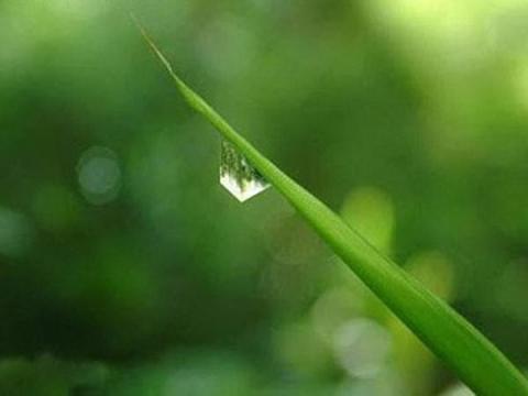 Name:  square-world010.jpg
Views: 669
Size:  18.1 KB
