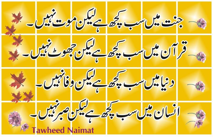 Name:  Jannat main sab kuch hay laikin.jpg
Views: 487
Size:  72.8 KB