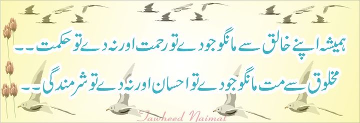 Name:  Hamesha Apnay khaliq say mango Jo de tu.jpg
Views: 318
Size:  27.6 KB