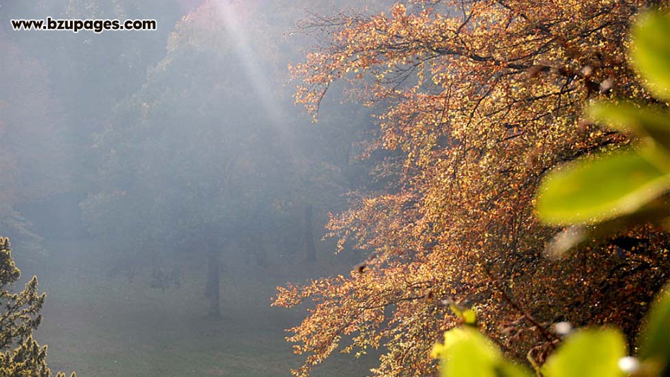 Click image for larger version

Name:	Stourhead England (4).jpg
Views:	212
Size:	177.6 KB
ID:	27600