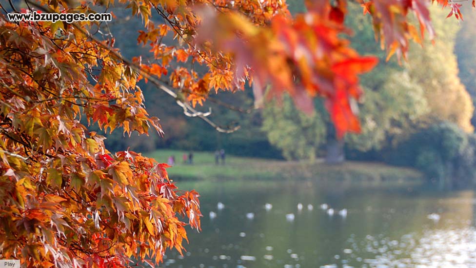 Click image for larger version

Name:	Stourhead England (6).jpg
Views:	214
Size:	171.1 KB
ID:	27601