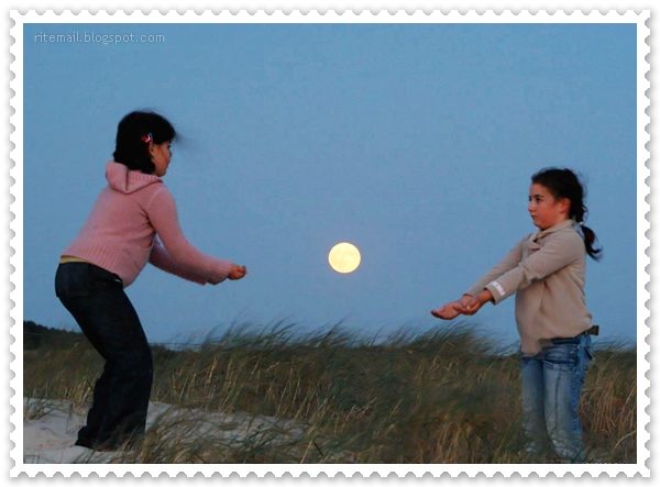 Name:  Special Pictures (2).jpg
Views: 527
Size:  38.4 KB