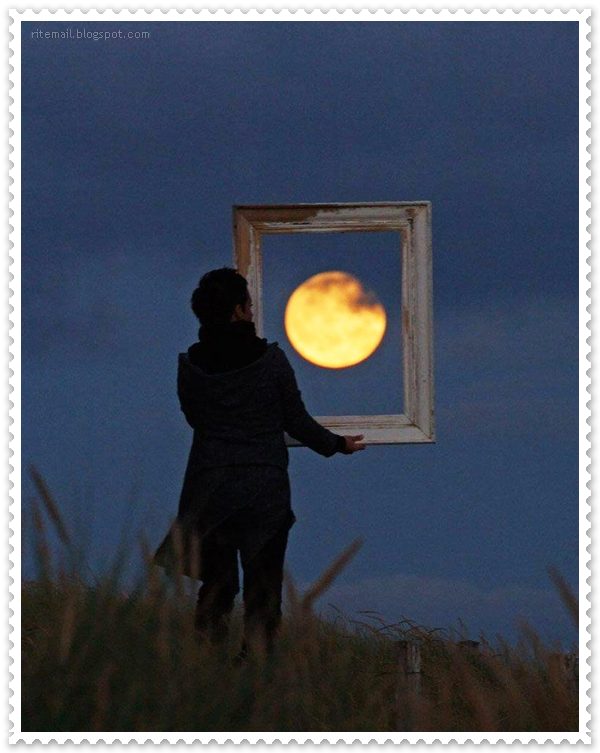 Name:  Special Pictures (6).jpg
Views: 503
Size:  61.6 KB
