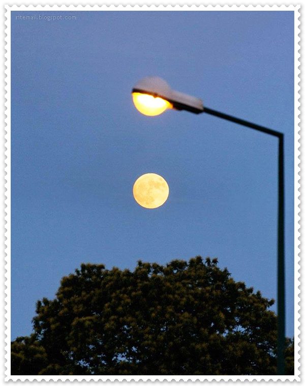 Name:  Special Pictures (9).jpg
Views: 521
Size:  65.7 KB