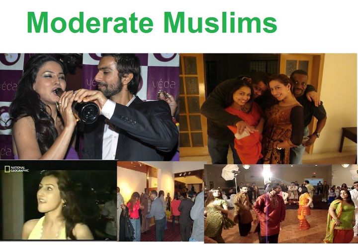 Name:  I Am A Moderate Muslim.jpg
Views: 2392
Size:  65.0 KB