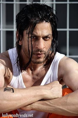 Name:  shah rukh khan.jpg
Views: 817
Size:  28.2 KB