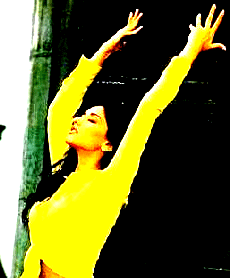 Name:  pk.gif
Views: 269
Size:  16.7 KB