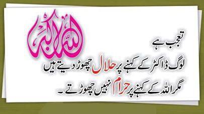 Name:  Taujub hay, Halal aur Haram.jpg
Views: 1183
Size:  19.1 KB