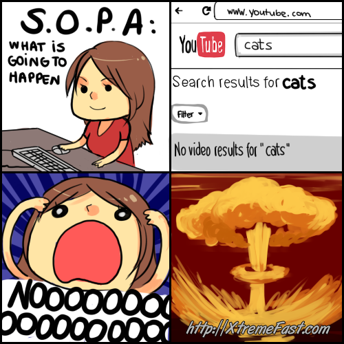 Name:  SOPA What is going to Happen, No Result for Cats.png
Views: 905
Size:  215.5 KB