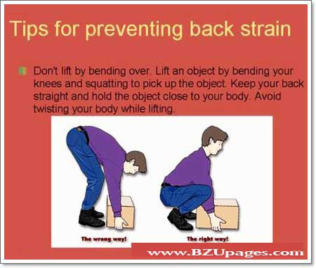 Name:  Useful Tips to Cure Back Pain (9).jpg
Views: 254
Size:  49.4 KB