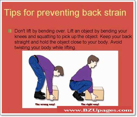 Name:  Useful Tips to Cure Back Pain (9).jpg
Views: 481
Size:  49.4 KB