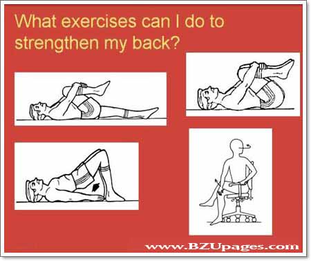 Name:  Useful Tips to Cure Back Pain.jpg
Views: 210
Size:  48.3 KB