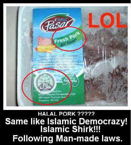 Name:  Halal likh daynay say suwarr halal naheen hota.jpg
Views: 2154
Size:  48.5 KB