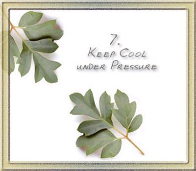 Name:  7.jpg
Views: 318
Size:  17.4 KB