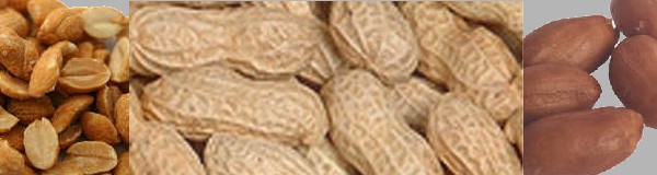 Name:  peanuts.jpg
Views: 175
Size:  29.7 KB