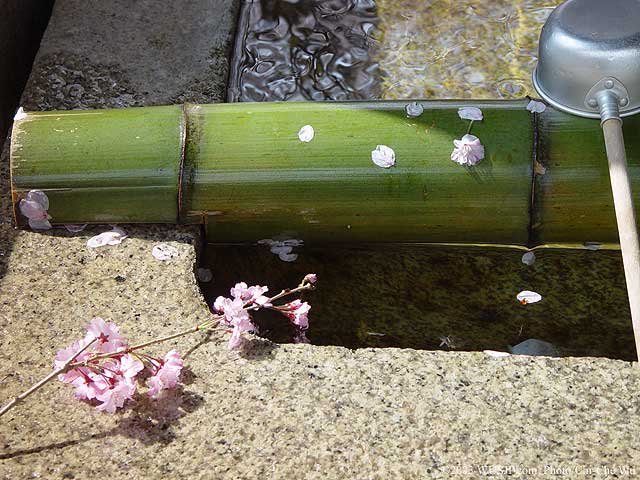 Name:  download_002.jpg
Views: 863
Size:  61.6 KB