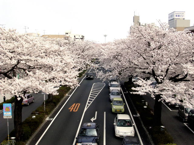 Name:  download_008.jpg
Views: 951
Size:  89.4 KB