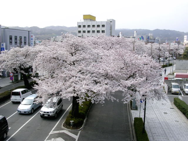 Name:  download_009.jpg
Views: 932
Size:  82.1 KB