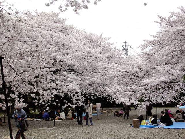 Name:  download_011.jpg
Views: 914
Size:  104.7 KB