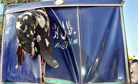 Name:  This is Pakistan (20).jpg
Views: 56726
Size:  37.0 KB