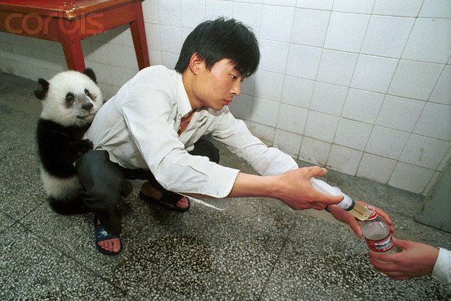 Name:  download_015.jpg
Views: 334
Size:  83.1 KB