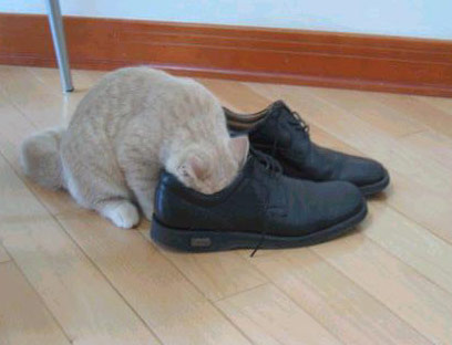 Name:  1.jpg
Views: 414
Size:  23.5 KB