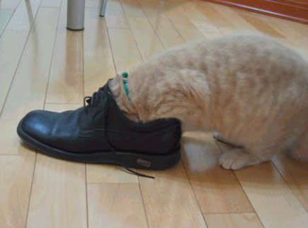 Name:  2.jpg
Views: 390
Size:  25.3 KB