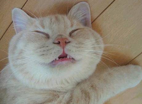 Name:  4.jpg
Views: 414
Size:  17.7 KB