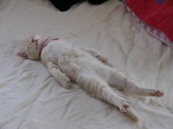 Name:  5.jpg
Views: 416
Size:  17.5 KB