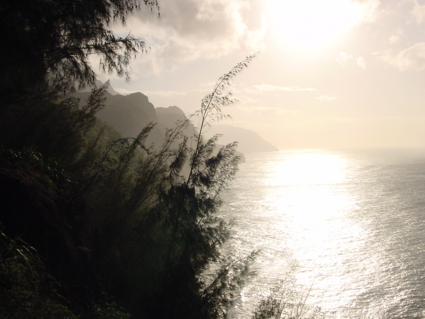 Name:  Na_Pali_Coast_-_Kauai.jpg
Views: 493
Size:  168.9 KB