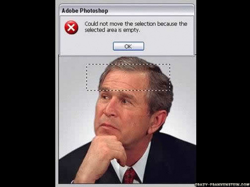 Name:  funny-bush-wallpapers.jpg
Views: 2839
Size:  92.5 KB