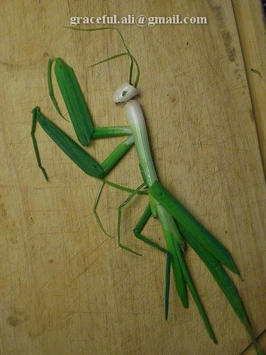 Name:  1.jpg
Views: 382
Size:  36.5 KB