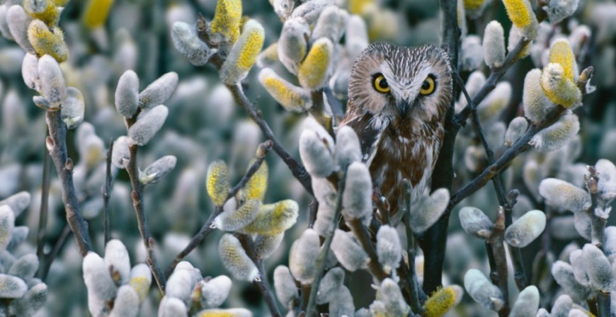 Name:  20032009002320900123750.jpg
Views: 294
Size:  140.1 KB