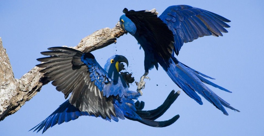 Name:  20032009077625800123750.jpg
Views: 841
Size:  119.6 KB