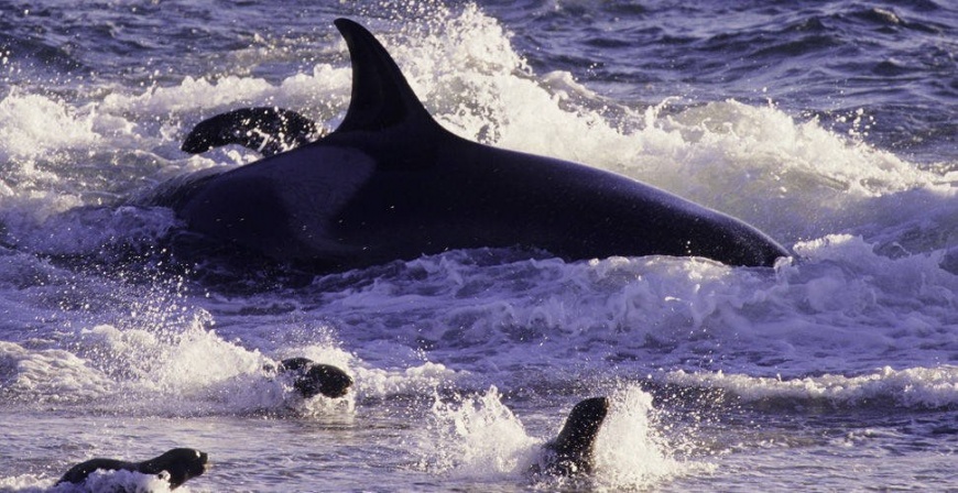 Name:  20032009077824400123750.jpg
Views: 302
Size:  181.8 KB